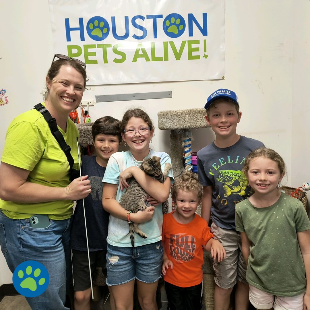 Big news! It’s been a purrfectly big week for cat adoptions at our @petsmart Catteries! 🎉 All these loving furballs have found their forever homes, and we couldn’t be happier! 😻 Wishing them endless cuddles and kitty adventures ahead!