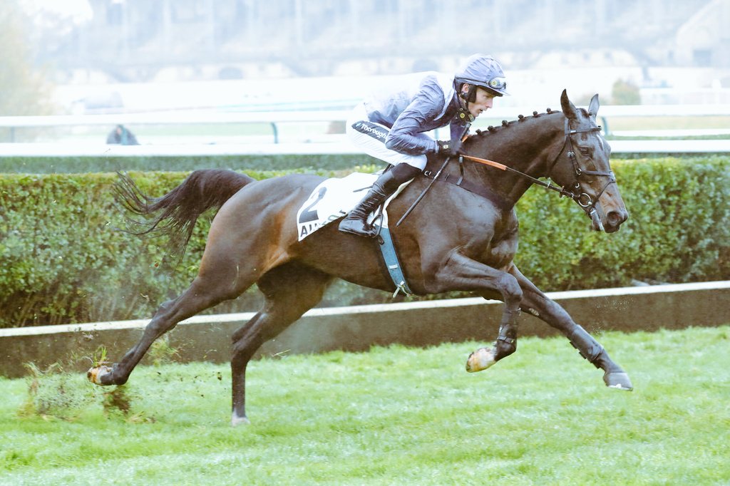 L'impatience est grandissante ! Nous allons encore en savoir davantage sur IL EST FRANÇAIS... Le voyez-vous dominer le Prix Murat ? • Gran Diose • Jazz Manouche • Chorail Debelair • Youtwo Glass • Gallipoli ⏳ #GrandSteepleChase Masters 🔷