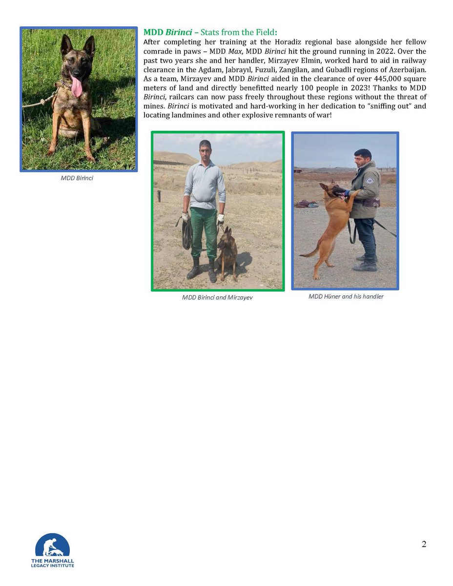 On International Mine Awareness Day, USACC honors our heroic canines: Huner, Max, Birinji for detecting 400+ mines in Azerbaijan, protecting 1,600+ lives, and restoring vital lands. Their efforts spotlight the urgent need for mine action. Support the mission for a mine-free world