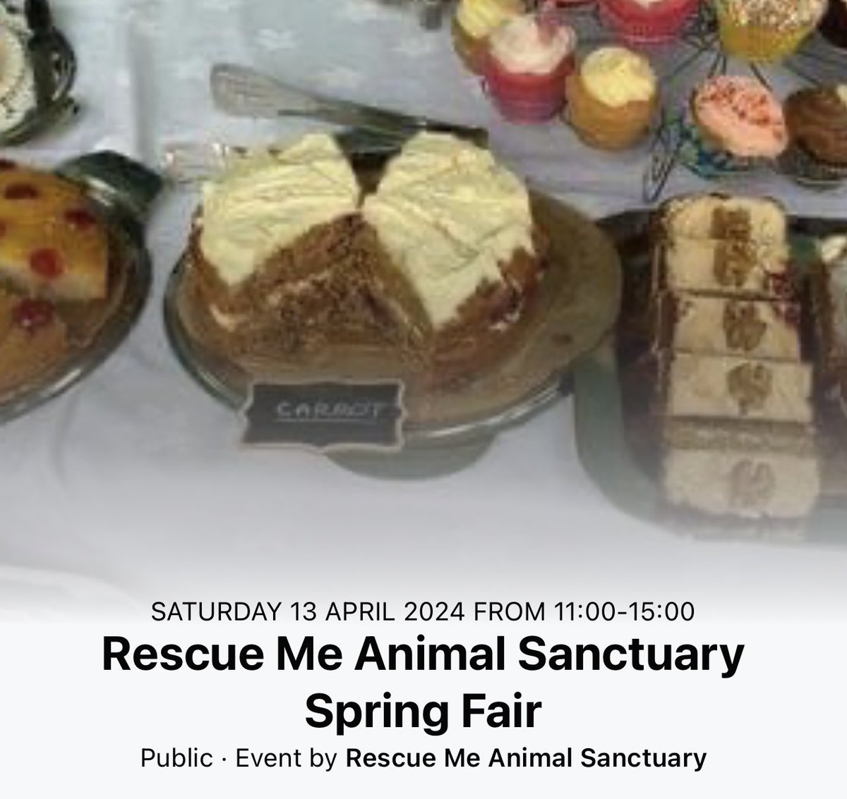 Date for diary at St Cuthbert’s church hall Sat 13/4 11-3pm Spring Fair for @rescuemeanimal
