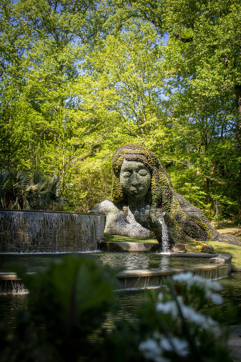 jetsetoffset's tweet photo. Happy Earth Month! Join us in raising environmental awareness &amp; creating consciousness around the issues that affect mother nature 🌎

📍Atlanta Botanical Gardens

#jetsetoffset #earthmonth #earthday #motherearth #sustainability #environmentalism #nonprofitsfortheplanet https://t.co/u3I5kqSIwB