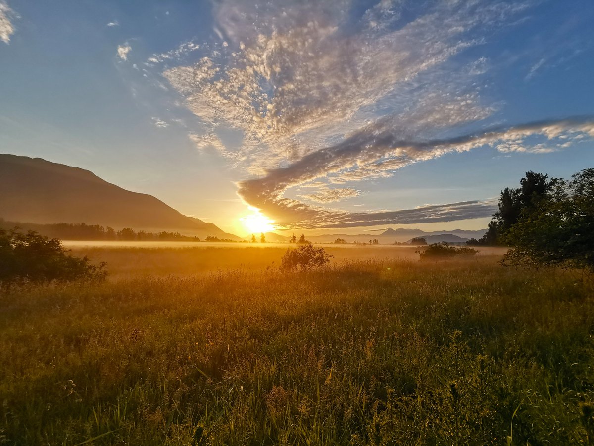 A splash of colour to lighten your day if its a bit grey.

#sunrise #britishcolumbia #FraserValley #smartphonephotography #landscapes