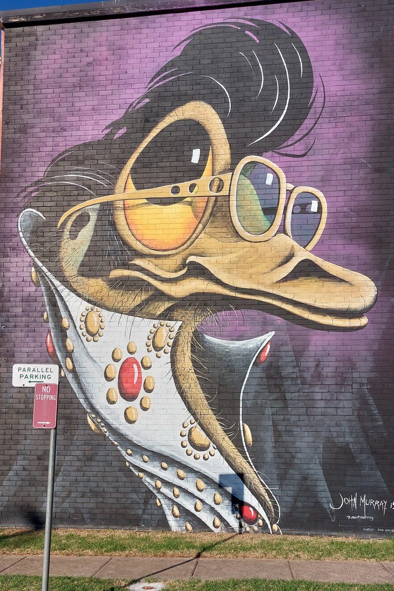 Spirit of The King of Rock n Roll lives on. Mural of Elvis McDuck in the Central Western town of #ParkesNSW #NewSouthWales #Australia #StreetArt #artworks