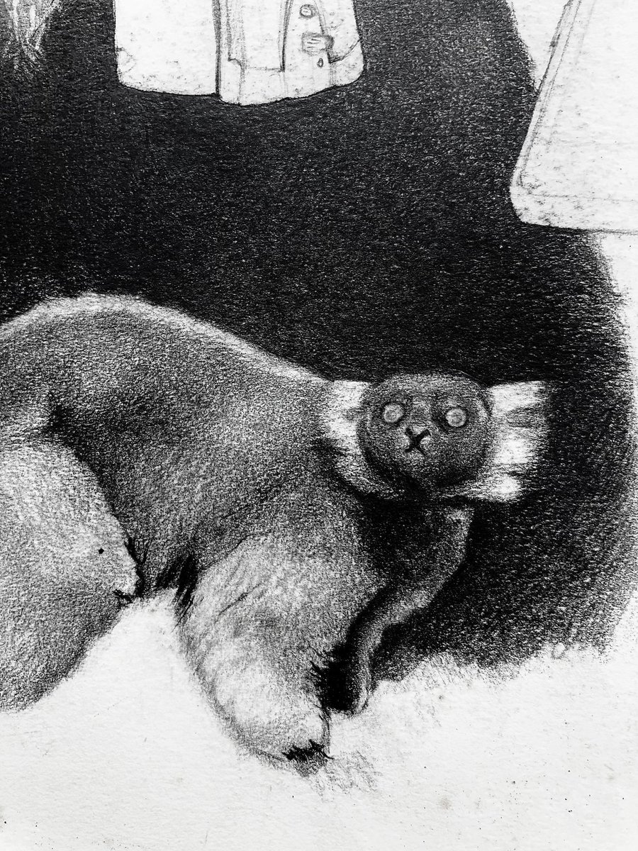 📕 2024 sketchbook WIP - Zaboomafoo!! - Graphite on drawing paper 

#GraphiteDrawing #PencilDrawing #Drawing #Art #Sketch #PortraitDrawing #ArtistOnTwitter
