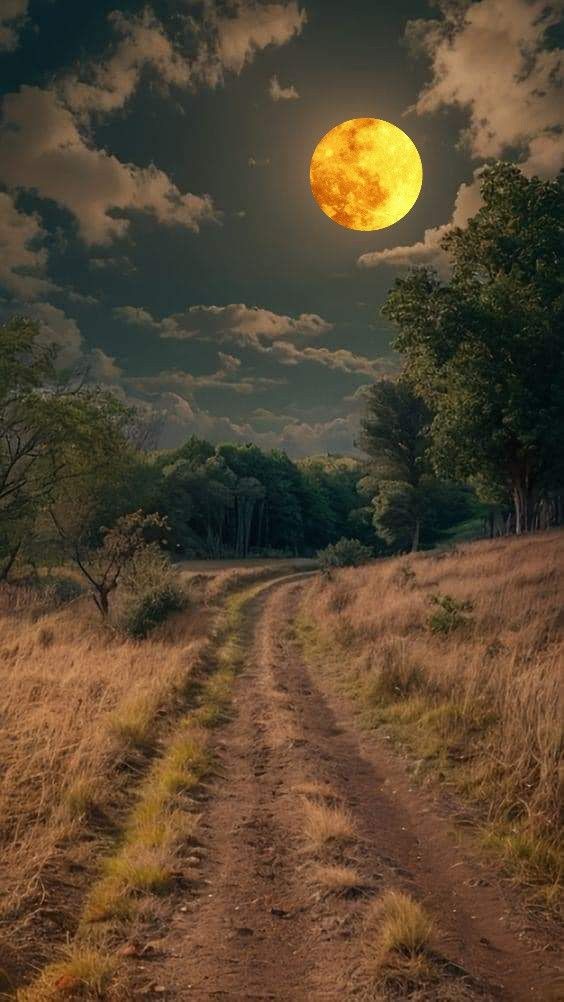 A LOVE FOR THE MOON🌕🧡💛😍 #NatureBeauty #Photography 📸