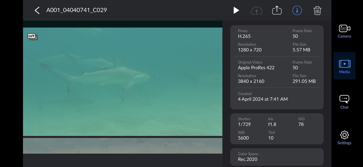 A screen grab of the original log footage and metadata from this underwater footage.