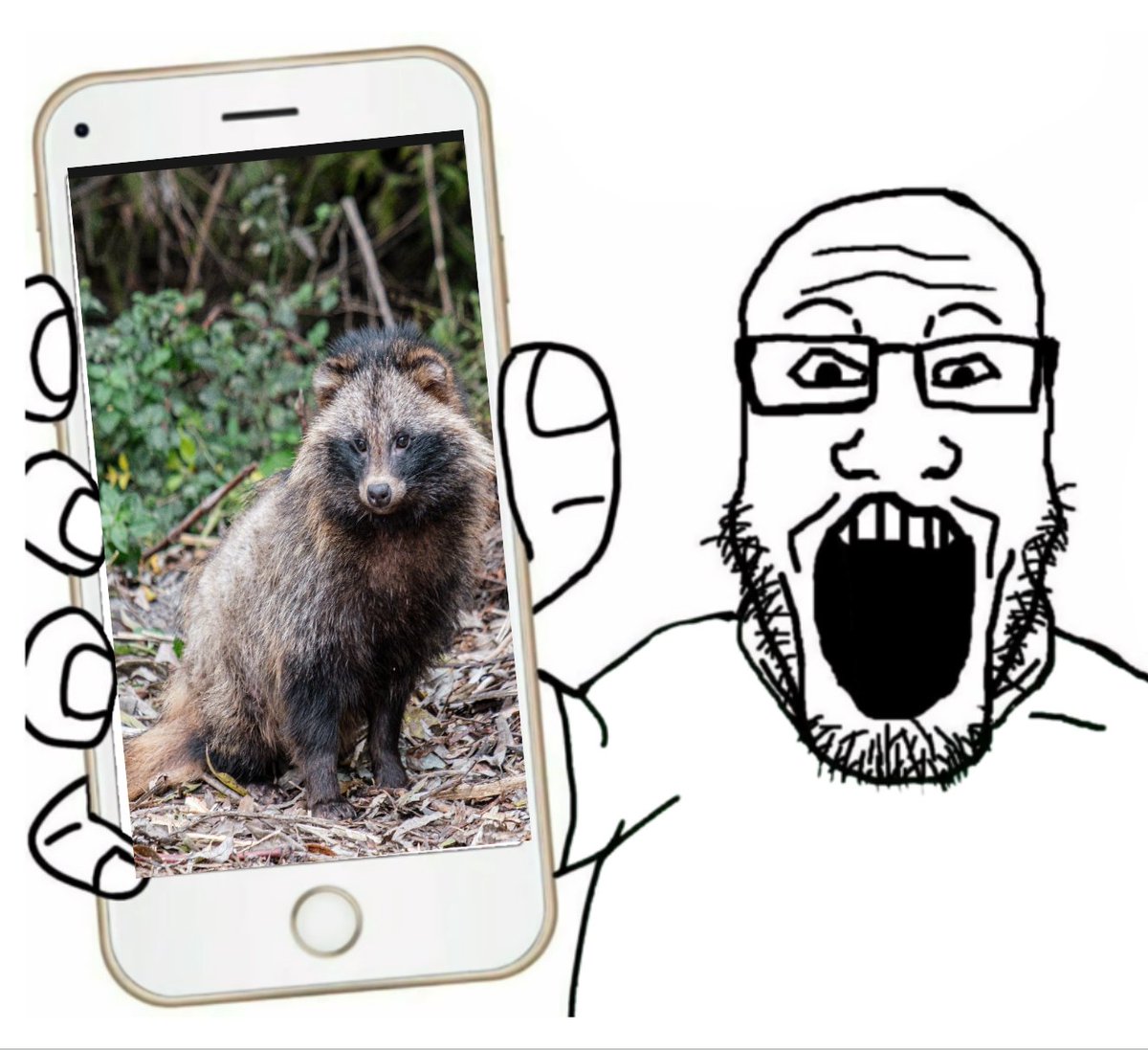 leetcode19's tweet image. You know I used to believe in the Lab Leak until I heard of Eddie Holme&apos;s picture of a Raccoon dog on his iPhone from 2014 that 100% proves Huanan market was the epicenter. I mean with evidence that strong who can argue!