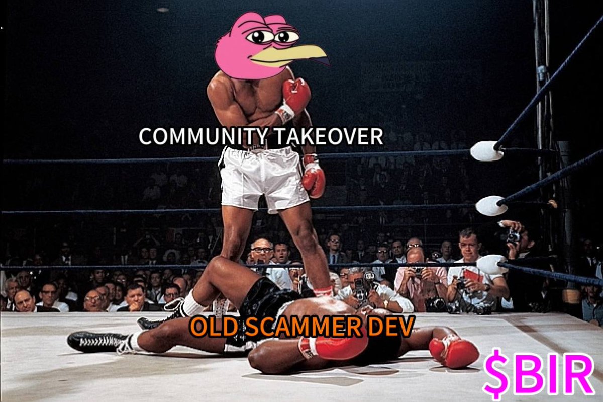 Birr looking for the clean knockout, lets show the dev what he coulda had

CTO - t.me/bironsolana

$BIR $SOL