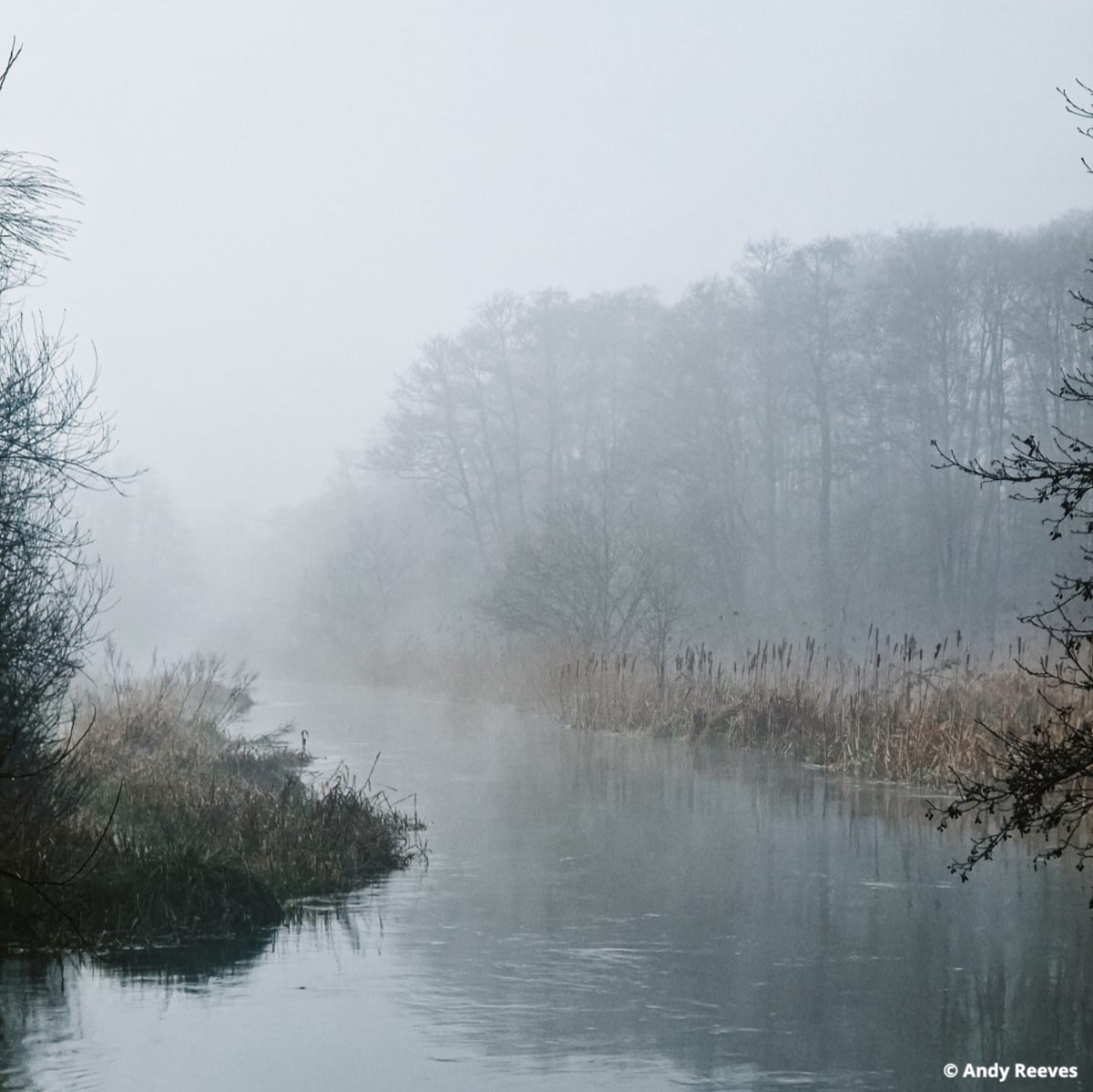 Winnall Moors Wildlife Trust Nature Reserve looking earie back in early March on a misty morning. Spanning 64 hectares of natural floodplain, Winnall Moors is a peaceful city centre oasis, with a diverse range of wildlife including kingfisher, reed warblers and water voles.