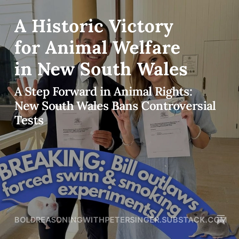 This month, the Australian state of New South Wales enacted pioneering legislation that bans two particularly cruel and unnecessary types of experiment sometimes conducted on animals: the forced swim test and nasal smoke inhalation. The New South Wales legislative reform marks an