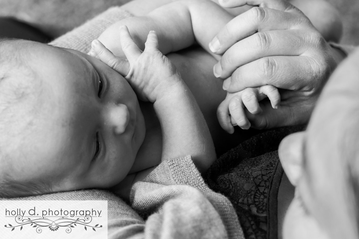 hollyd.photos | #HollyDPhotography #NewbornPhotographer #Newborn #FamilyPhotographer #LifestylePortraitPhotographer #TravelingPhotographer #WestFargoPhotographer #WestFargo #NDPhotographer #ND #JournalisticPhotographer