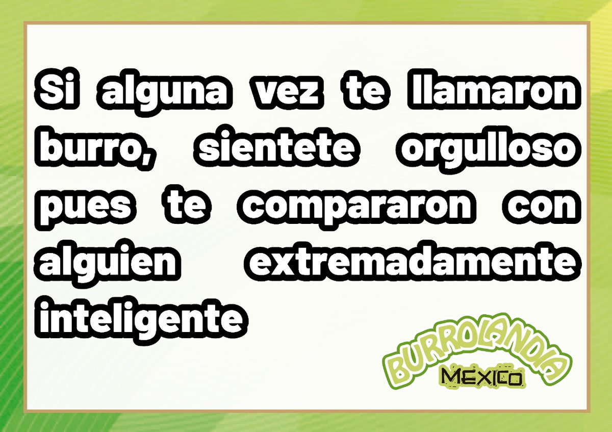 Burrolandia México (@Burrolandia_mx) on Twitter photo 2024-04-04 23:25:23