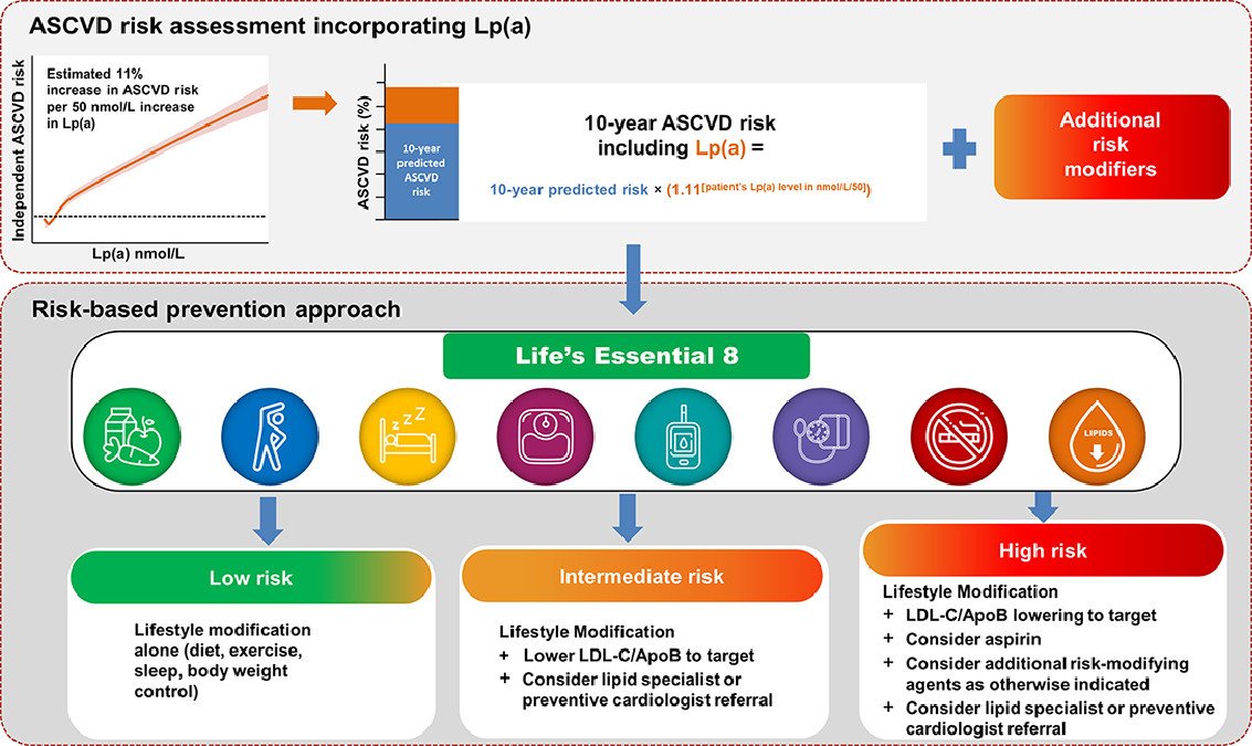 Elevated lipoprotein (a) #LPa is actionable now! Pleased to have contributed to this important review & guide for clinicians about actionable strategies for risk mitigation, out now in @AJPCardio. sciencedirect.com/science/articl…
