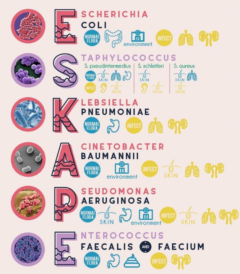 Excellent infographic on ESKAPE pathogens 🦠 ESKAPE refers to 6 bacteria that cause most deaths from hospital acquired infections across the world. 🧫 These are highly multi-drug resistant & are often a consequence of antibiotic overuse. #MedEd #FOAMed #FOAMcc