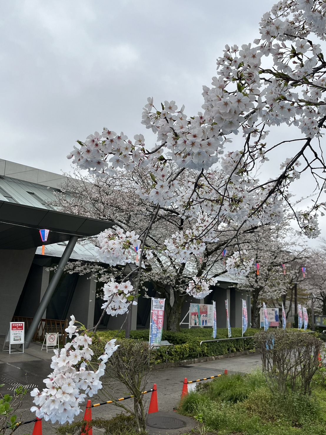 北区飛鳥山公園 on X: 