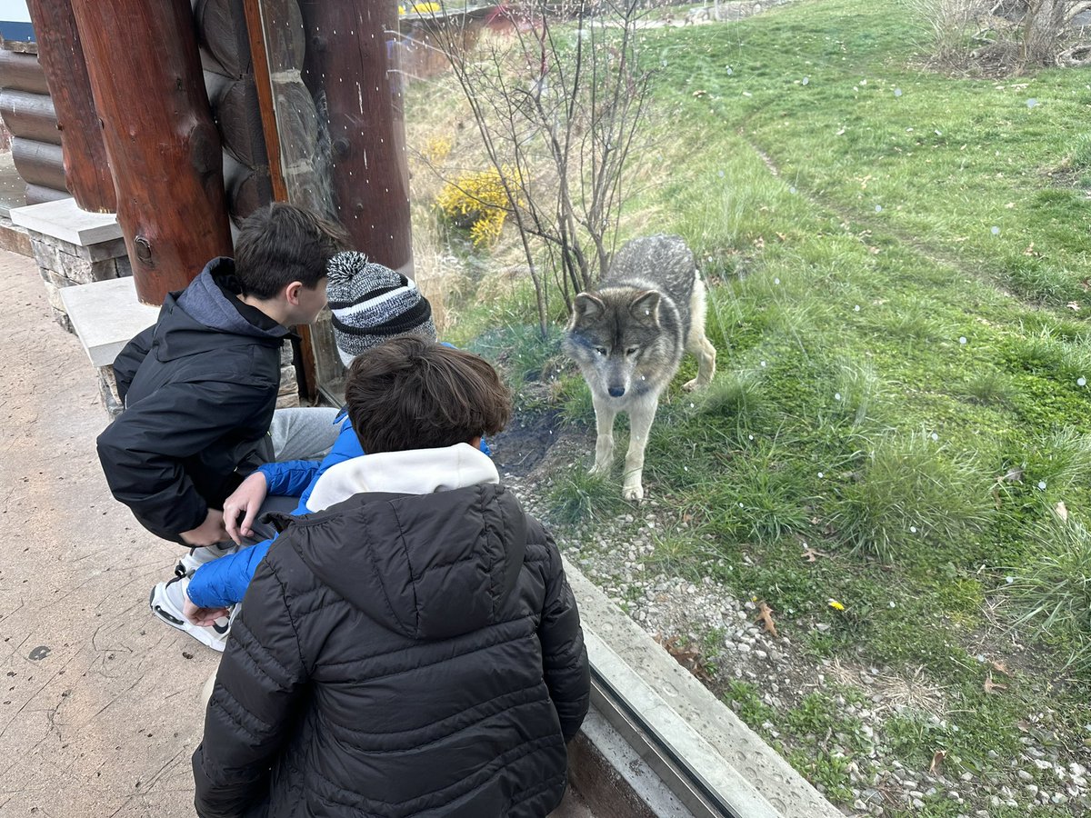 Van Hoosen Middle School tweet media