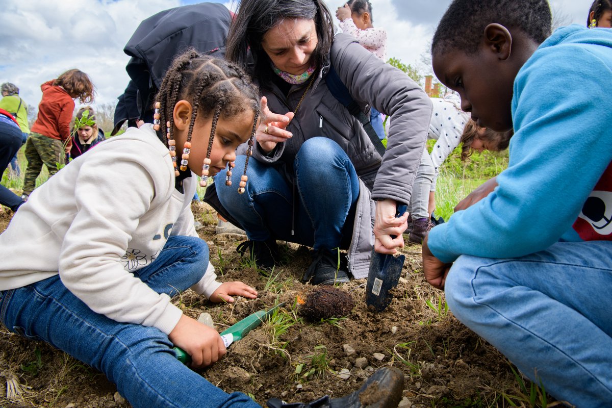 Ville de Limoges tweet media