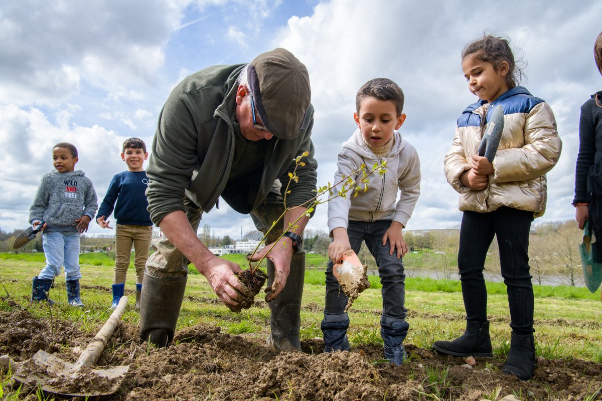 Ville de Limoges tweet media