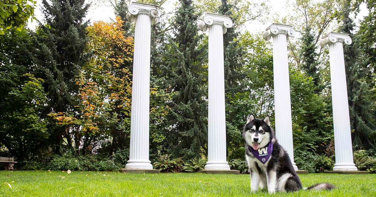 We thought we'd “paws” here to express appreciation for our #UWAllen community this #HuskyGivingDay. We’re on our way to unlocking the first challenge funds for scholarships, outreach activities and other programming that supports students. Thank you! 💜givingday.uw.edu/o/university-o…