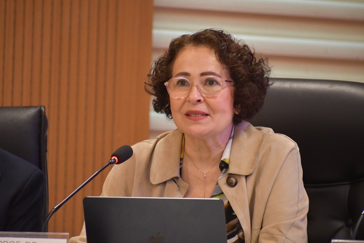 sibel inceoglu tweet media