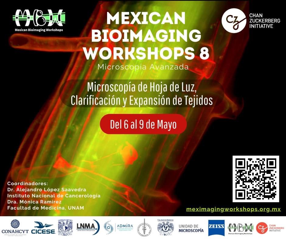 El @incanMX y la FacMed  te invitan a participar en este curso gratuito que busca introducir a la microscopía lightsheet y las técnicas de preparación de muestras, así como fomentar una comunidad regional en este campo. @MAVI_FacMed
Inscripciones:meximagingworkshops.org.mx