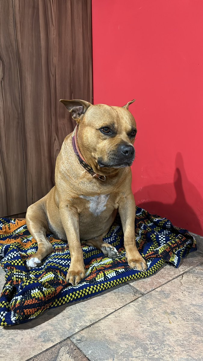 bebito ojala fueras eterno💘😍