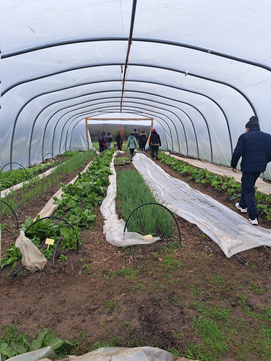 Including a farm walk on our farm on the Sunday.