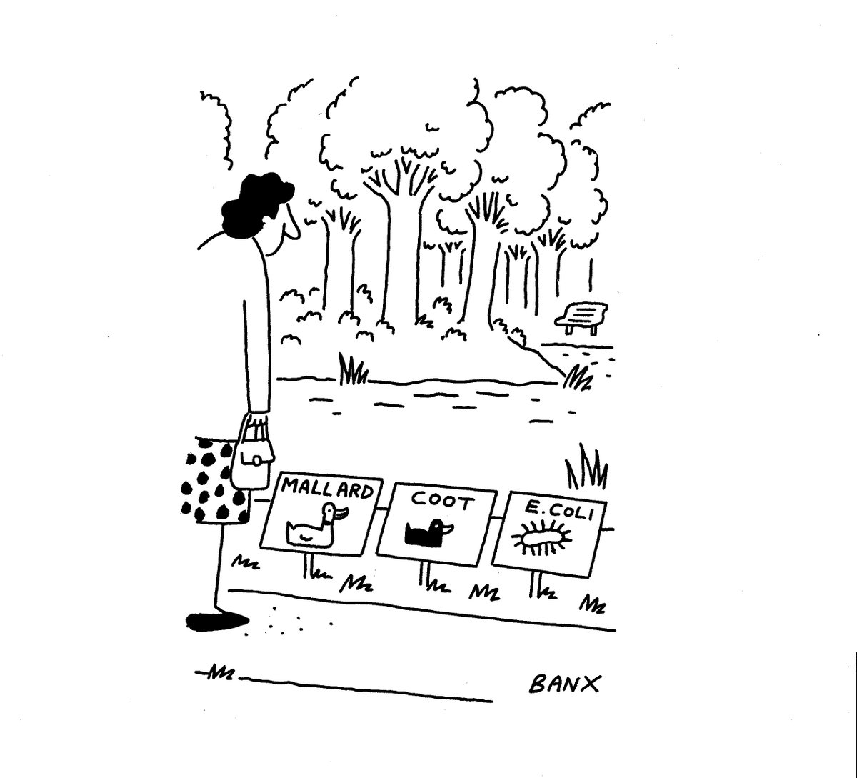Banxcartoons tweet picture