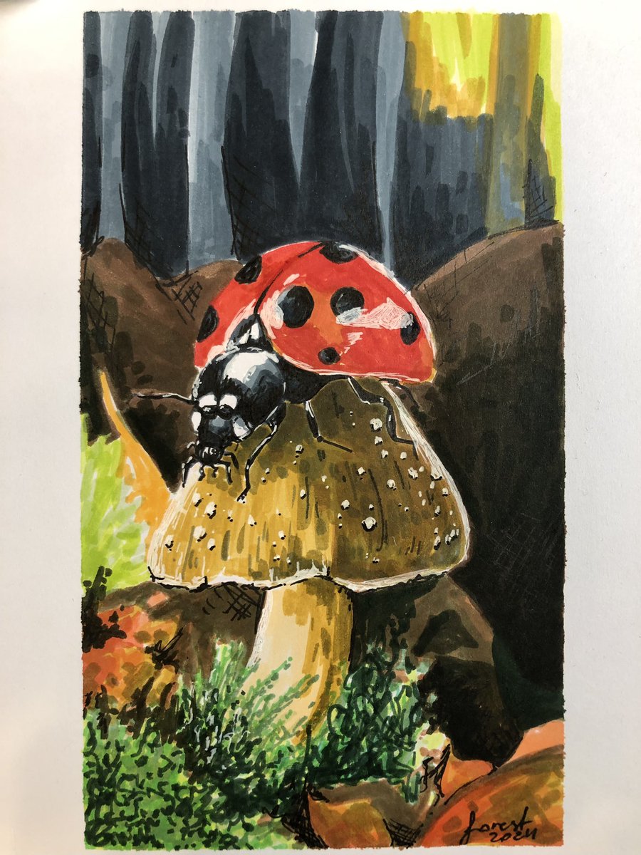 Today stream’s doodle #art #traditionalart #marker #markerart #ArtistOnTwitter #ArtistOnX #ladybug #mushrooms