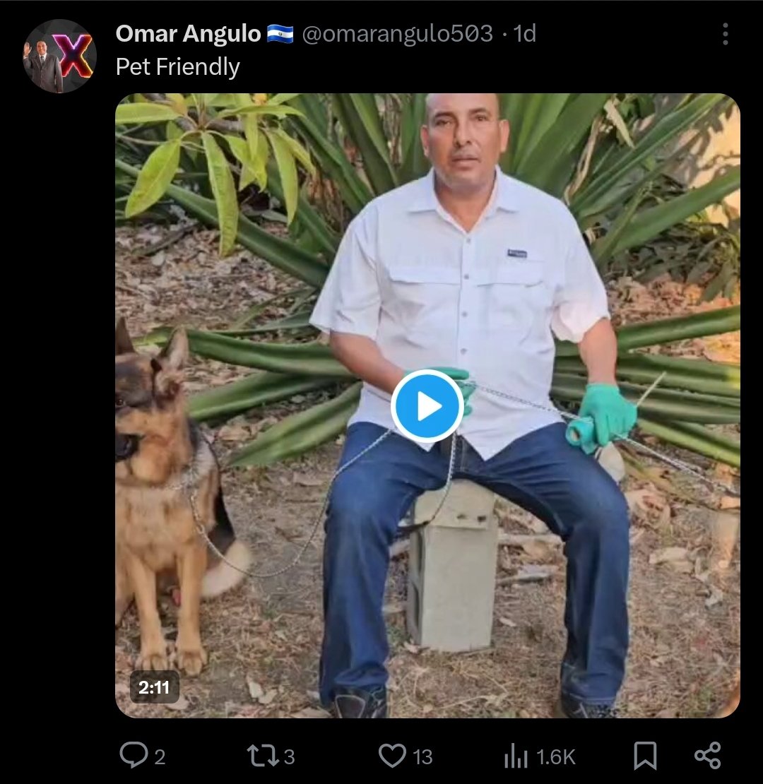 Kapaluccio's tweet photo. Según leo, #OmarAngulo chocó por no atropellar un perrito, no me cae muy bien el don pero que acto tan noble. Y como es la vida que un día antes nos dejó este mensaje. https://t.co/9ux0JIN9CG