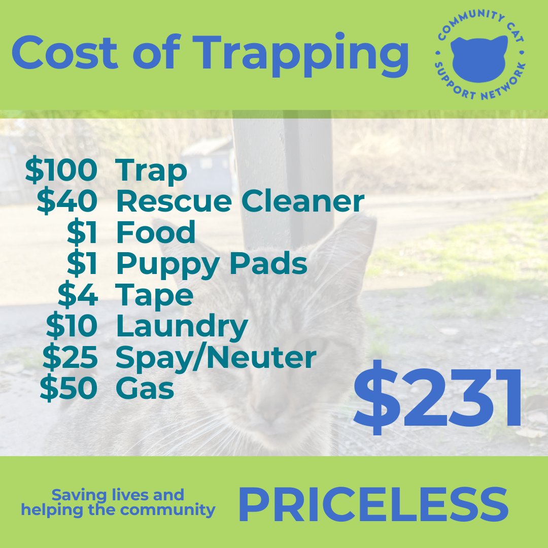 If you could donate even $5 it would be so appreciated. We have a shot at winning $1000! Currently tied for 5th place.

You can also show your support by texting TNR to (844) 844-6844.

nwagives.org/organization/C…

#NWAGives #Nonprofit #CatsAreAmazing #CatRescue