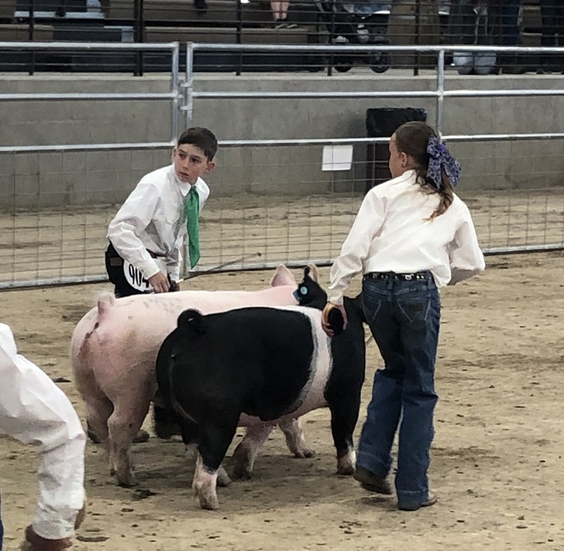 Now is the time to talk with family and friends about buying locally-raised meat at the #ChurchillCounty Junior Livestock Show & Sale on April 25-27 at the #Rafter3CArena! Buyers guide and info: churchillcountynv.gov/DocumentCenter… #ChurchillCountyNV