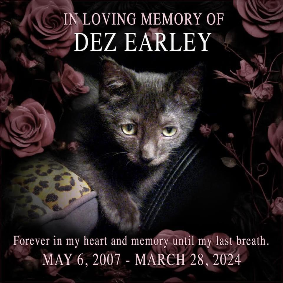 RIP My special little man, Dez. I will always love you and you will always be in my heart. 🖤🖤🖤