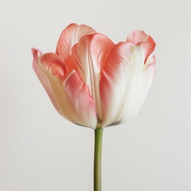 The big pump on the way