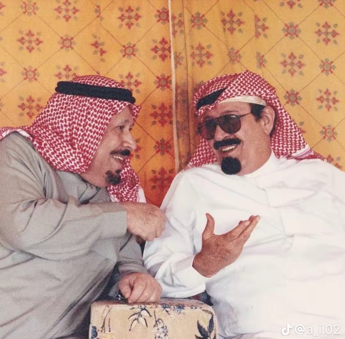 الملك عبدالله بن عبدالعزيز والأمير بدر بن عبدالعزيز رحمهما الله
