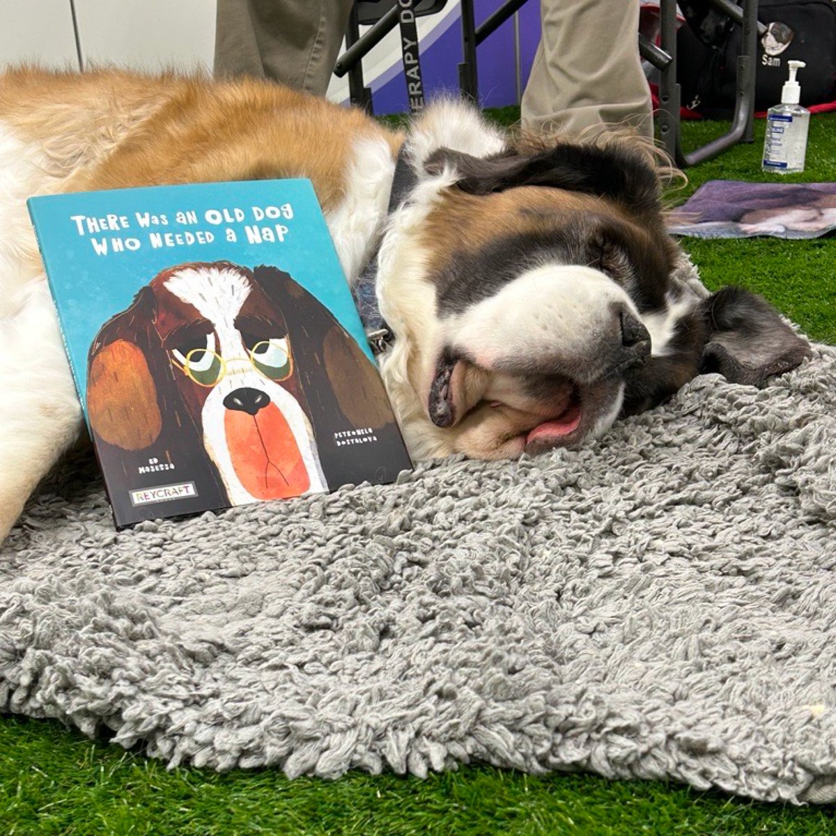 There Was an Old Dog Who Needed a Nap at #PLA2024 🐶@ALA_PLA