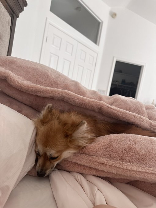 Watch Jenn's leaked NSFW photo on TwXstars