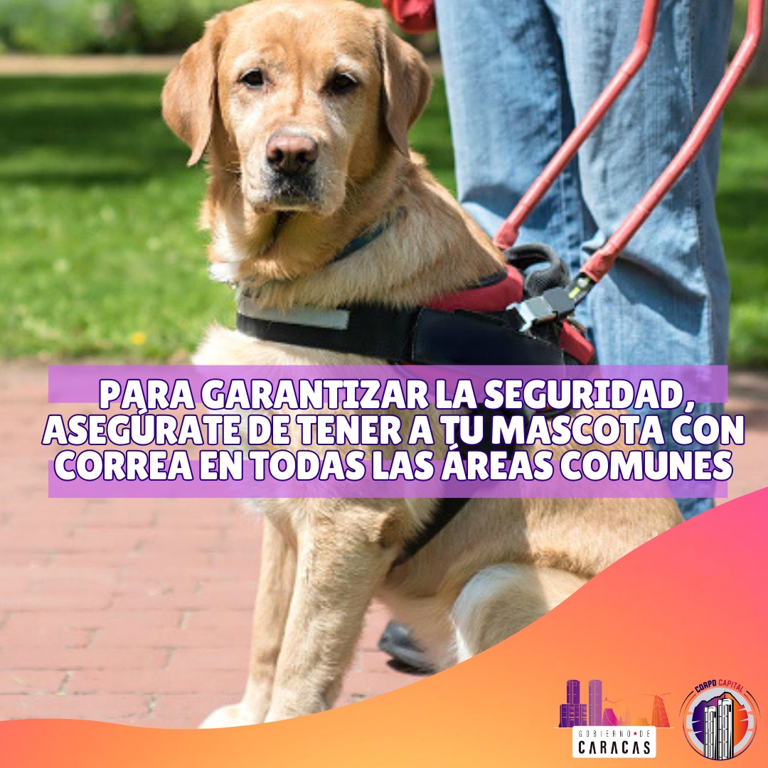 corpocapitalgdc's tweet photo. #CorpoTips 🐶🐱Si vives con mascotas en tu propiedad tienes una gran responsabilidad, por ello debes ser cuidadoso y responsable
Aquí te aconsejamos 👇
@NicolasMaduro
@Nahumfernandezm
@TamanacoPSUV https://t.co/KgRIc57FmZ
