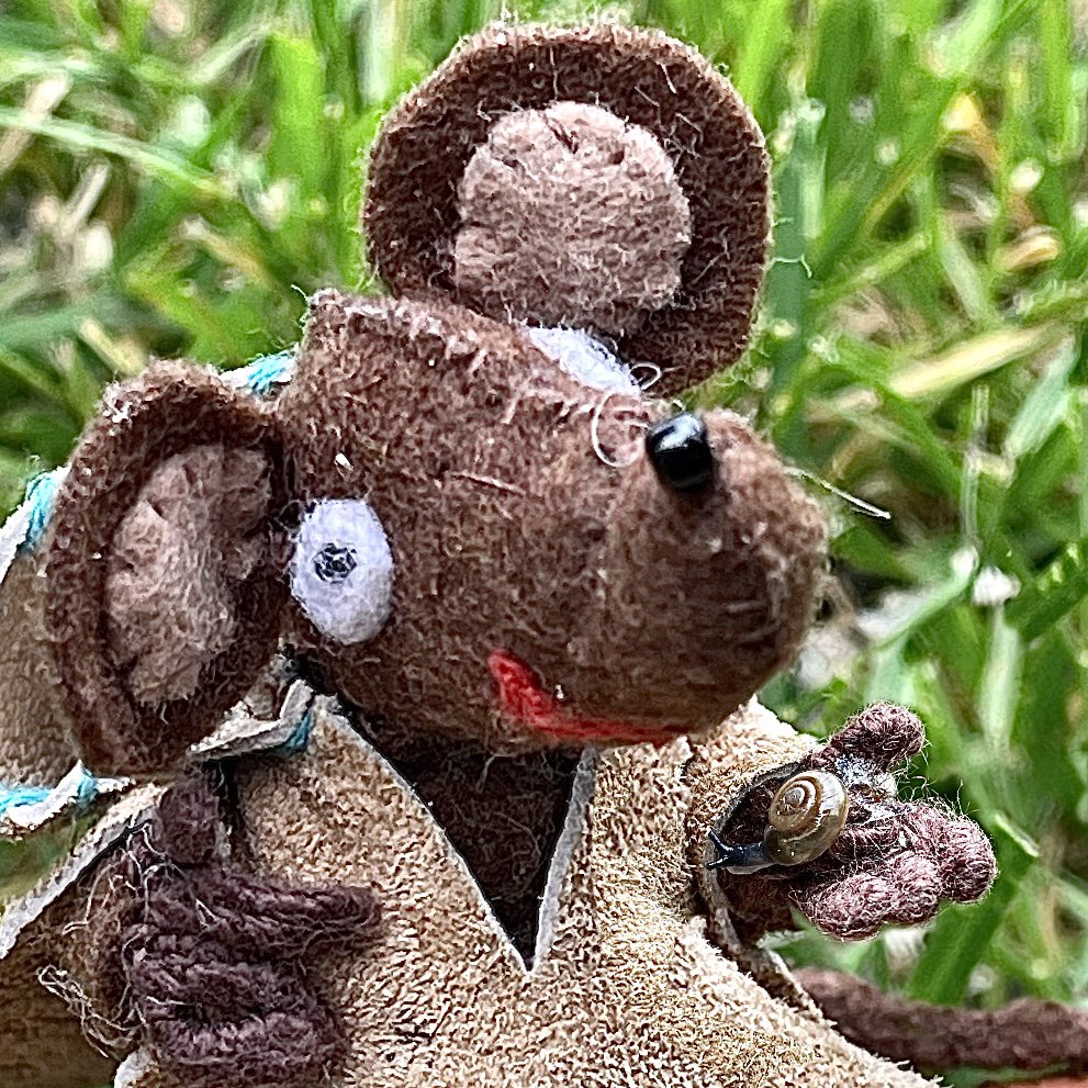 fabula murina (mouse story) CXVI Silvius percontator bestiolas in horto quaerit (Inquisitive Silvius is looking for little creatures in the garden). cochleam minutissimam invenit, quae in manu repit (He finds a really minute snail, which crawls on his paw)!