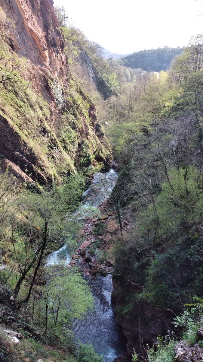 Perigeo_Ins's tweet photo. Field excursion @Uni_Insubria at Breggia geopark. Rock, rock and rocks ⛰ https://t.co/57ukY9HjsE