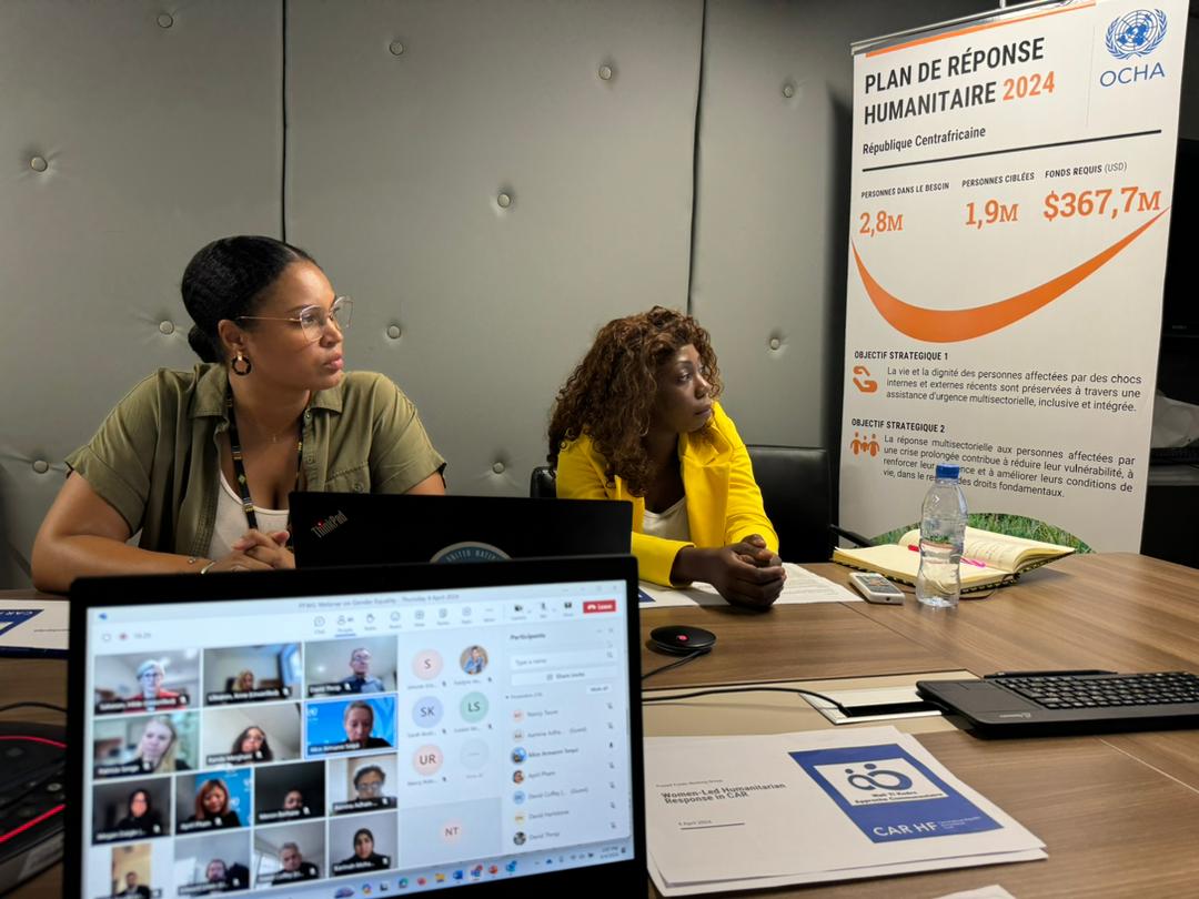 🗣️Voice from the field ⬇️ Today, Ms Anita BISSA (member of the CAR HF Advisory Board& National Coordinator of the Local Women-Led Organization WALI TI KODRO in 🇨🇫) shared with global @cbpfs Working Group her perspectives on #gender programming in humanitarian action #Localization