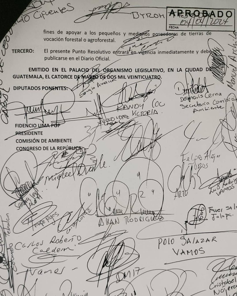 AllanERodriguez's tweet photo. Desde el Congreso, damos un paso adelante por nuestra Guatemala. Aprobamos el Punto Resolutivo 12-2024, pidiendo al Gobierno y al MinFin realizar un análisis y revisión profunda de los fondos para el #PINPEP. Es esencial para la protección y conservación de nuestra biodiversidad. https://t.co/Dcr8mb3rro
