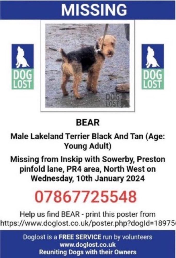 🚨 Have you seen Bear? 🚨
Missing since Wednesday 10th January 2024 from Inskip with Sowerby #Preston #PR4 
Please report sightings to ☎️ number on poster if you have seen him. Let’s help get him home.🙏🤞
#NorthWest #LakelandTerrier #BringBearHome #dogs 

doglost.co.uk/dog-blog.php?d…