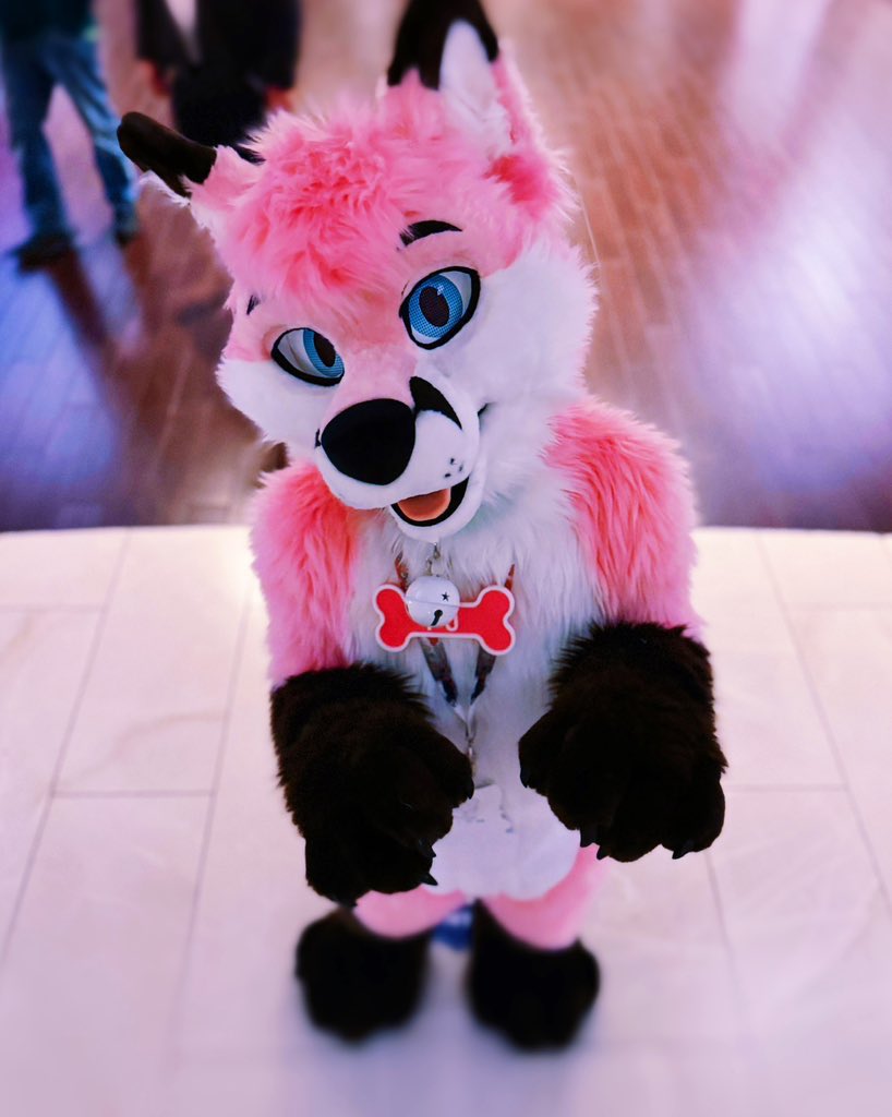 QRT with your blue eyed fursuit 🦊🩷