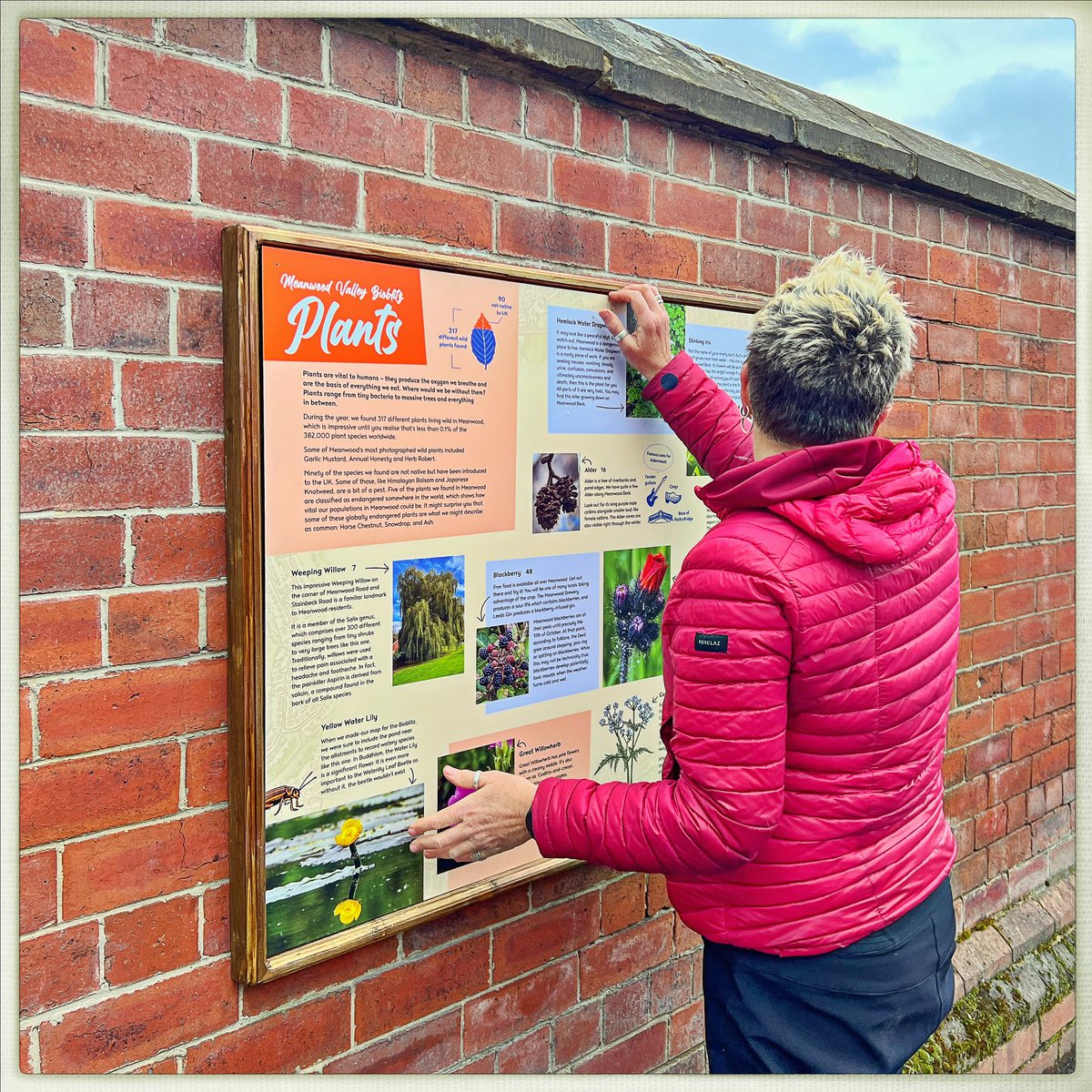 Lizzie Coombes (@bettylawless) on Twitter photo Day 95/366 #photoaday
Today, I was back in action, installing <a href="/MeanwoodRoad/">The Meanwood Road Project</a> Project Bioblitz exhibition on the street. In this latest project, around 60 volunteers catalogued as much wildlife as possible over a year. If you’re in the area, stop by to discover what we found. Day 95/366 #photoaday
Today, I was back in action, installing <a href="/MeanwoodRoad/">The Meanwood Road Project</a> Project Bioblitz exhibition on the street. In this latest project, around 60 volunteers catalogued as much wildlife as possible over a year. If you’re in the area, stop by to discover what we found.
