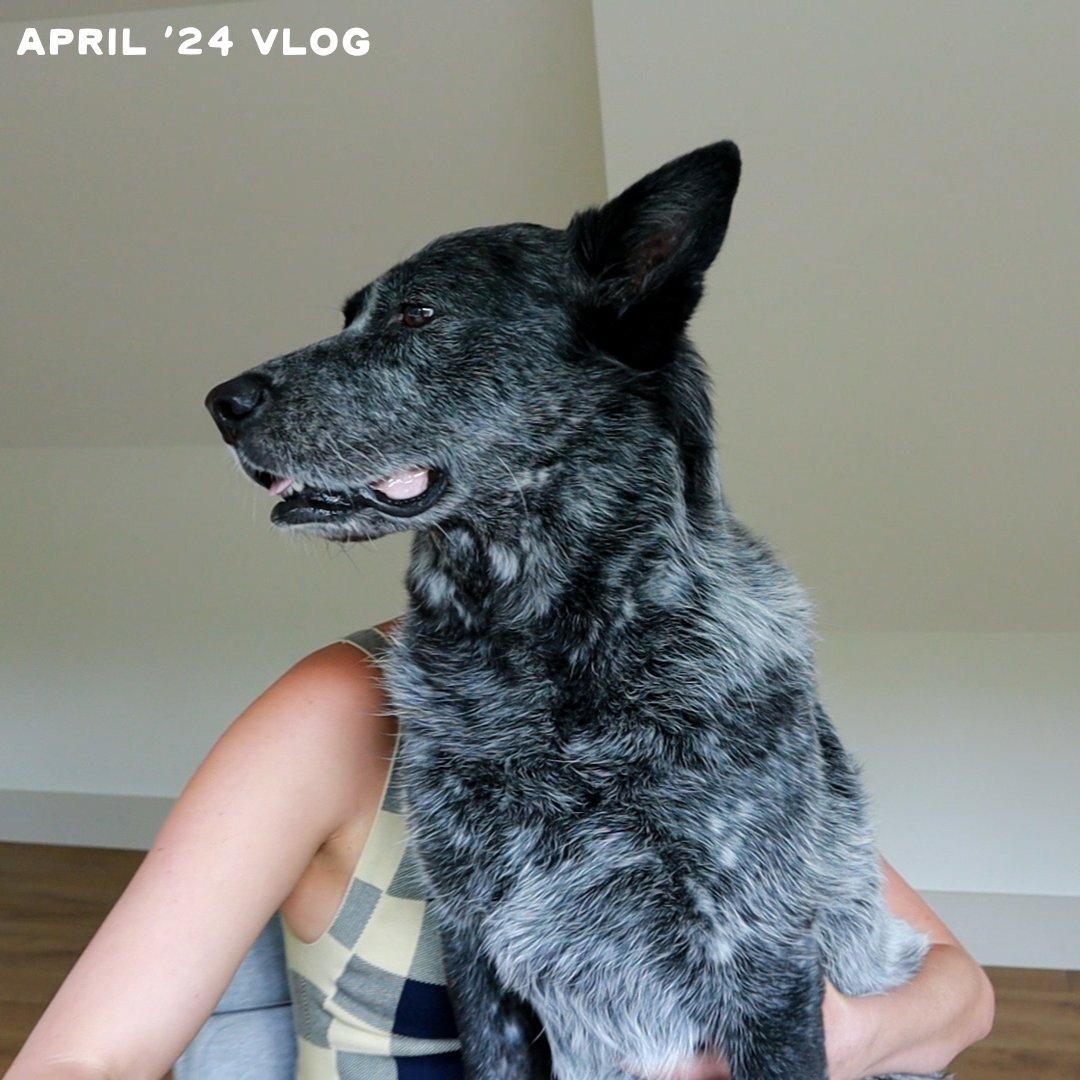 Join me (and Benji) for your April member’s vlog! ‘Tis a month to build & rebuild connection, strength, resilience, stamina, stability and what else? Tap the link below to check out the vlog and learn more about all the fun things happening this April! fwfg.com/programs/membe…