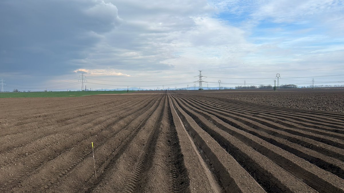 Voorjaar is al lekker op gang!