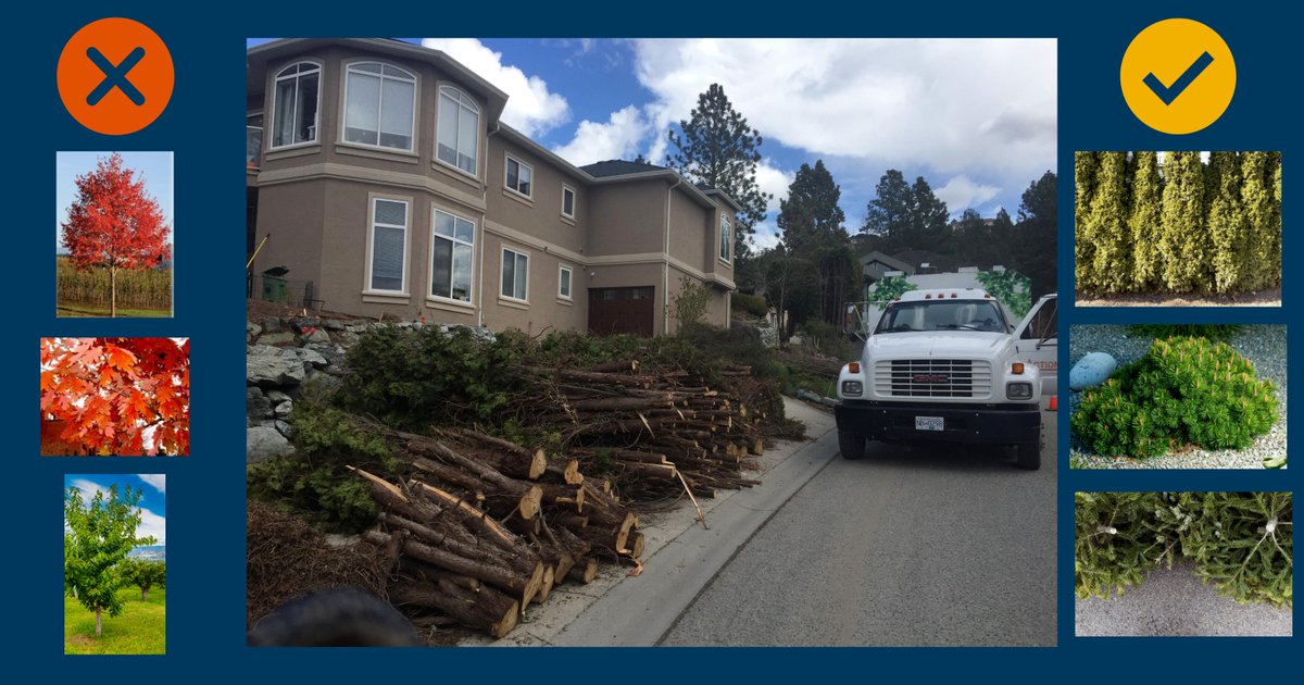 Pick up requests are now open for our @BCFireSmart Community Chipping Program! 🌲🚚 Help reduce your property's wildfire risk by removing high flammable materials, such as cedars, junipers, fir, pine & spruce. Learn more and secure your pick up at kelowna.ca/firesmart.