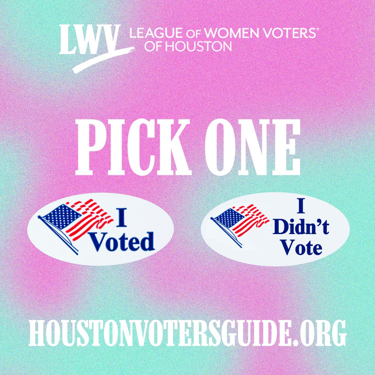 Choose wisely! The May 4th Local Elections are right around the corner. Stay tuned for our Voters Guide covering HCAD Directors, Alvin ISD, Galena Park ISD, Pearland ISD, and Spring Branch ISD!  #lwvhouston #houstonvoter #alvinisd #pearlandisd #springbranchisd #galenaparkisd