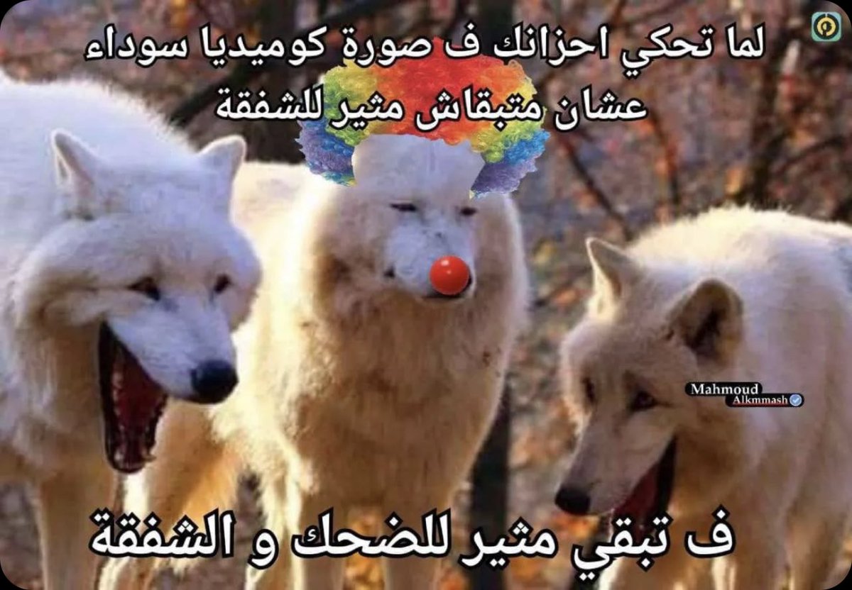 _xeui's tweet image. 